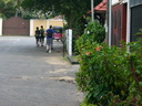A picture