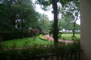 A picture