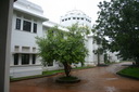 A picture
