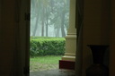 A picture