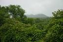 A picture