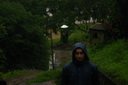 A picture