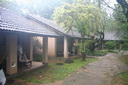 A picture