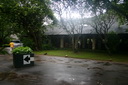 A picture