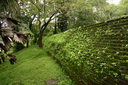 A picture