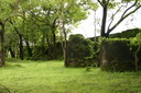 A picture