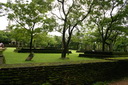 A picture