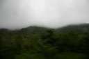 A picture