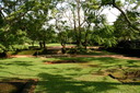 A picture