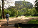 A picture