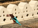 A picture