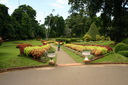 A picture