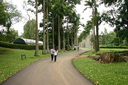 A picture