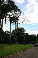 A picture
