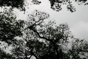 A picture