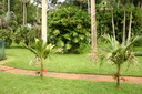 A picture