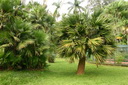A picture
