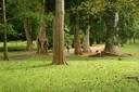 A picture