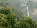 A picture