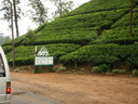 A picture