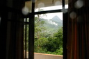 A picture