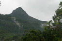 A picture