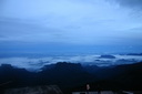 A picture