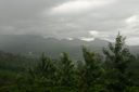 A picture