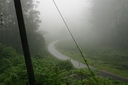 A picture