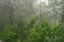 A picture