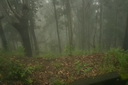 A picture