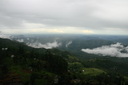 A picture