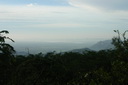 A picture