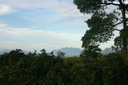 A picture