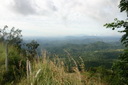 A picture