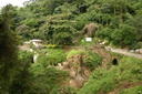 A picture