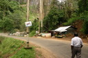 A picture