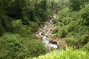 A picture