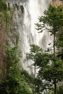 A picture