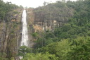 A picture