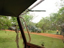 A picture