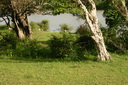 A picture