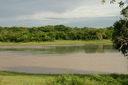 A picture