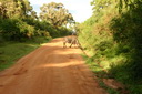 A picture