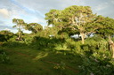 A picture