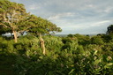 A picture
