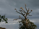 A picture