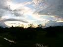 A picture