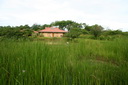 A picture