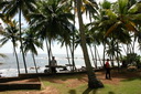 A picture